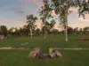 13 Drysdale Place, Kensington Grove, Qld 4341-Image