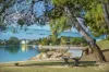 13 Dutton Grove, West Lakes Shore, SA 5020-Image