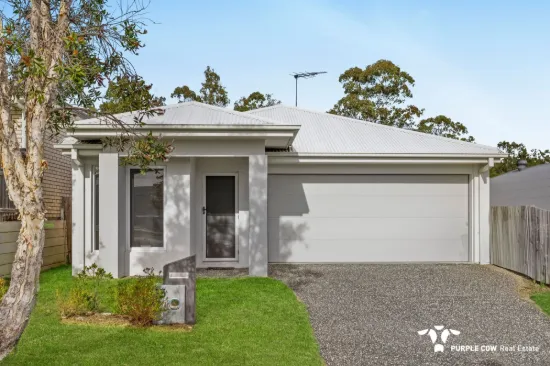 13 Finlayson Street, Spring Mountain, Qld 4300