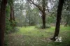 13 Flett Street, Bunyip, Vic 3815-Image