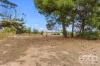 13 Franklin Street, East Moonta, SA 5558-Image