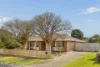 13 Fulmar Street, Carrum Downs, Vic 3201