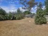 13 Gilbert Street, Crystal Brook, SA 5523-Image
