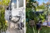 13 Griffiths Street, Fairlight, NSW 2094-Image