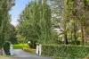13 Hamilton Avenue, Bowral, NSW 2576-Image