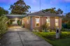 13 Heales Street, Mount Pleasant, Vic 3350-Image