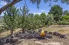 13 Honey Bee Run, Goughs Bay, Vic 3723-Image