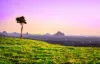 13 Hopper Street, Maleny, Qld 4552-Image