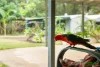 13 Jarvis Court, Joyner, Qld 4500-Image