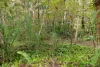 13 Jarvis Court, Joyner, Qld 4500-Image