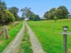 13 King Street, Bruthen, Vic 3885-Image