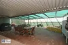 13 Kirwan Crescent, Port Augusta West, SA 5700-Image