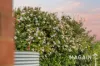 13 Kookaburra Court, McLaren Flat, SA 5171-Image