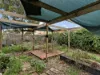 13 Kristian Drive, Hillside, Vic 3037-Image