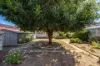 13  Kyeema Avenue, Cumberland Park, SA 5041-Image