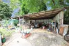 13 Langdon Street, Sarina, Qld 4737-Image
