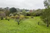 13 Lathlain Street, Clunes, Vic 3370-Image