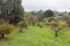 13 Lathlain Street, Clunes, Vic 3370-Image