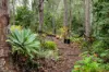 13 Lindale Court, Cashmere, Qld 4500-Image