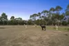 13 Lomandra Drive, Teesdale, Vic 3328-Image