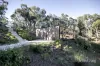 13 Lone Pine Avenue, Hepburn Springs, Vic 3461