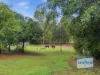 13 Lyon Drive, New Beith, Qld 4124-Image