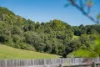 13 Main Street, Comboyne, NSW 2429-Image