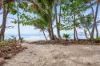 13 Marine Parade, Newell, Qld 4873-Image