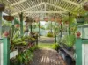 13 Mavis Court, Highfields, Qld 4352-Image