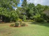 13 Mavis Court, Highfields, Qld 4352-Image