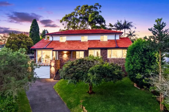13 Meredith Place, Frenchs Forest, NSW 2086