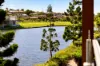 13 Meridien Drive, Maroochydore, Qld 4558-Image