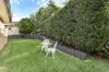 13 Mison Circuit, Mollymook Beach, NSW 2539-Image