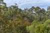 13 Mison Circuit, Mollymook Beach, NSW 2539-Image