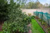 13 Mount Vincent Road, Mount Vincent, NSW 2323-Image