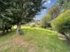 13 Newman Street, St Marys, Tas 7215-Image