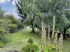 13 Newman Street, St Marys, Tas 7215-Image