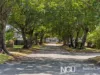 13 Olmai Avenue, Eastern Heights, Qld 4305-Image