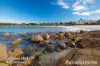 13 One Mile Close, Boat Harbour, NSW 2316-Image