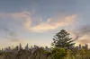 13 Pamela Street, Mount Waverley, Vic 3149-Image