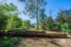 13 Pheasant Parade, Warburton, Vic 3799-Image