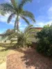 13 Pincombe Street, South Carnarvon, WA 6701-Image
