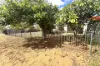 13 Pincombe Street, South Carnarvon, WA 6701-Image