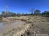 13 Pitts Road, South Nanango, Qld 4615-Image