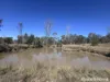 13 Pitts Road, South Nanango, Qld 4615-Image