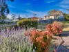 13 Poole Place, Sunshine Bay, NSW 2536-Image