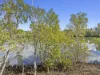 13 Reynton Street, Currumbin Waters, Qld 4223-Image