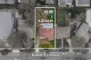 13 Roberts Avenue, Box Hill South, Vic 3128