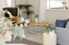 13 Rodney Street, Silkstone, Qld 4304-Image