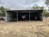 13 Sharow Street, Pingelly, WA 6308-Image